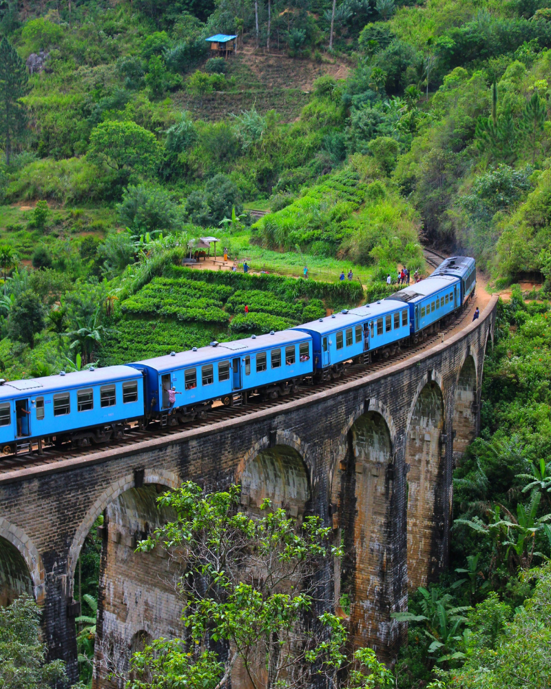 Sri lanka Train